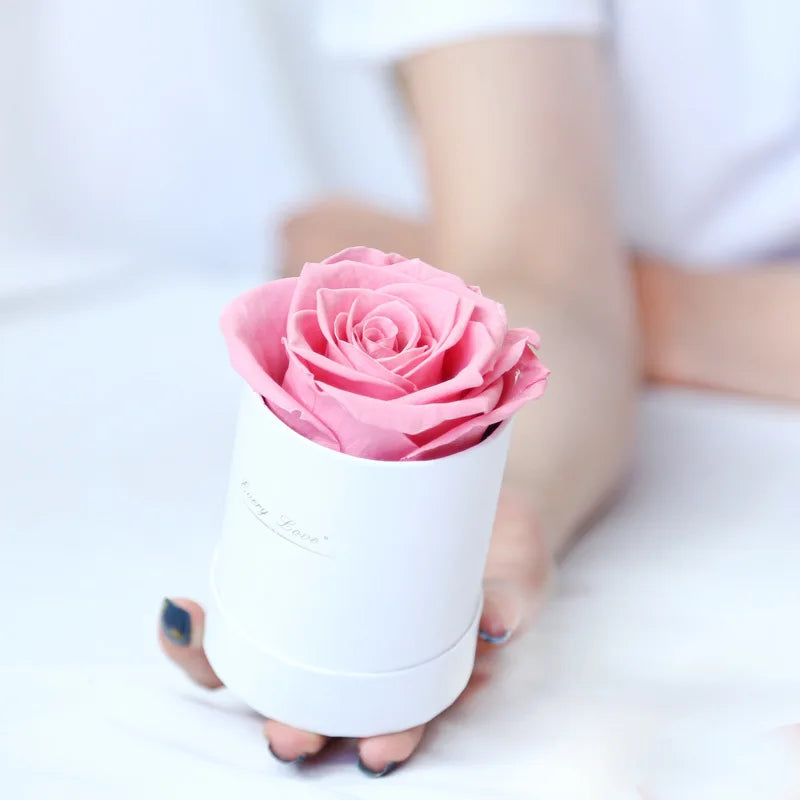 Preserved Rose Flower Giftbox