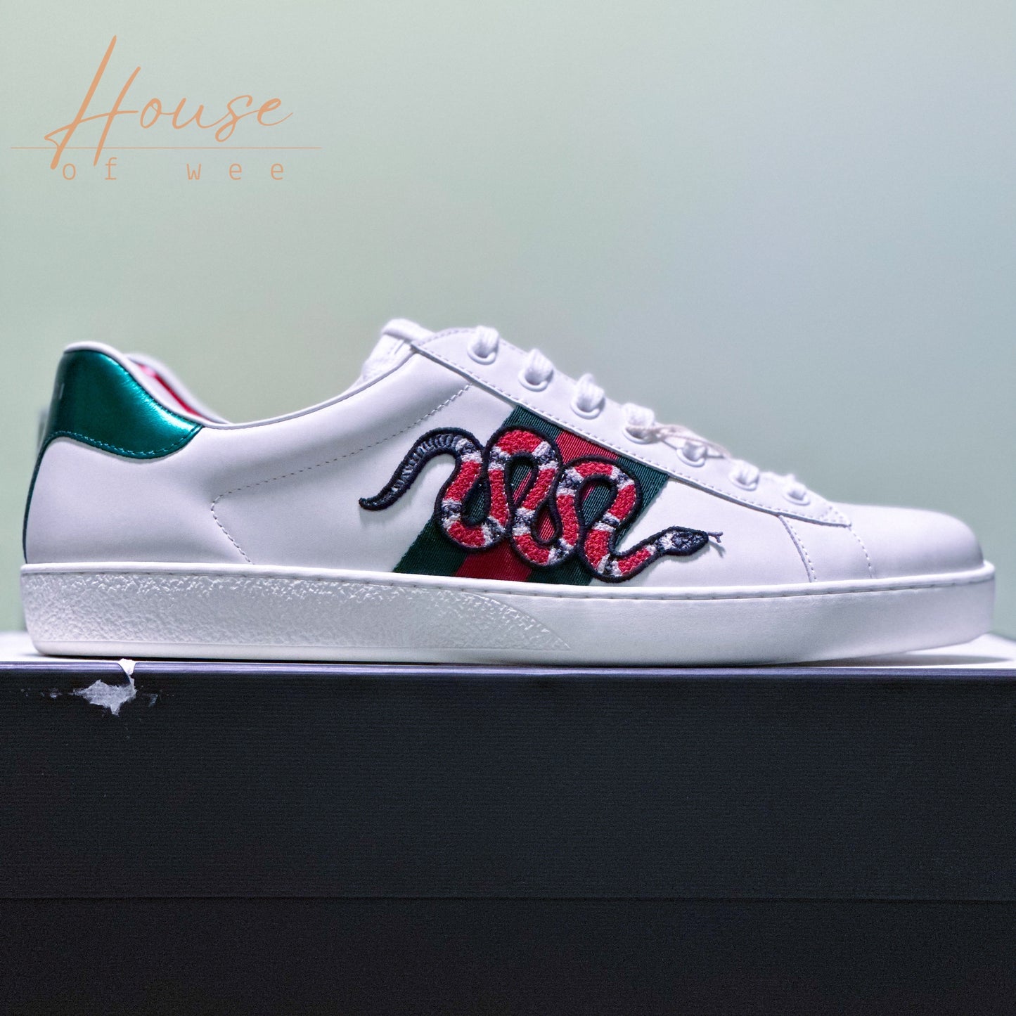 Gucci Ace Kingsnake