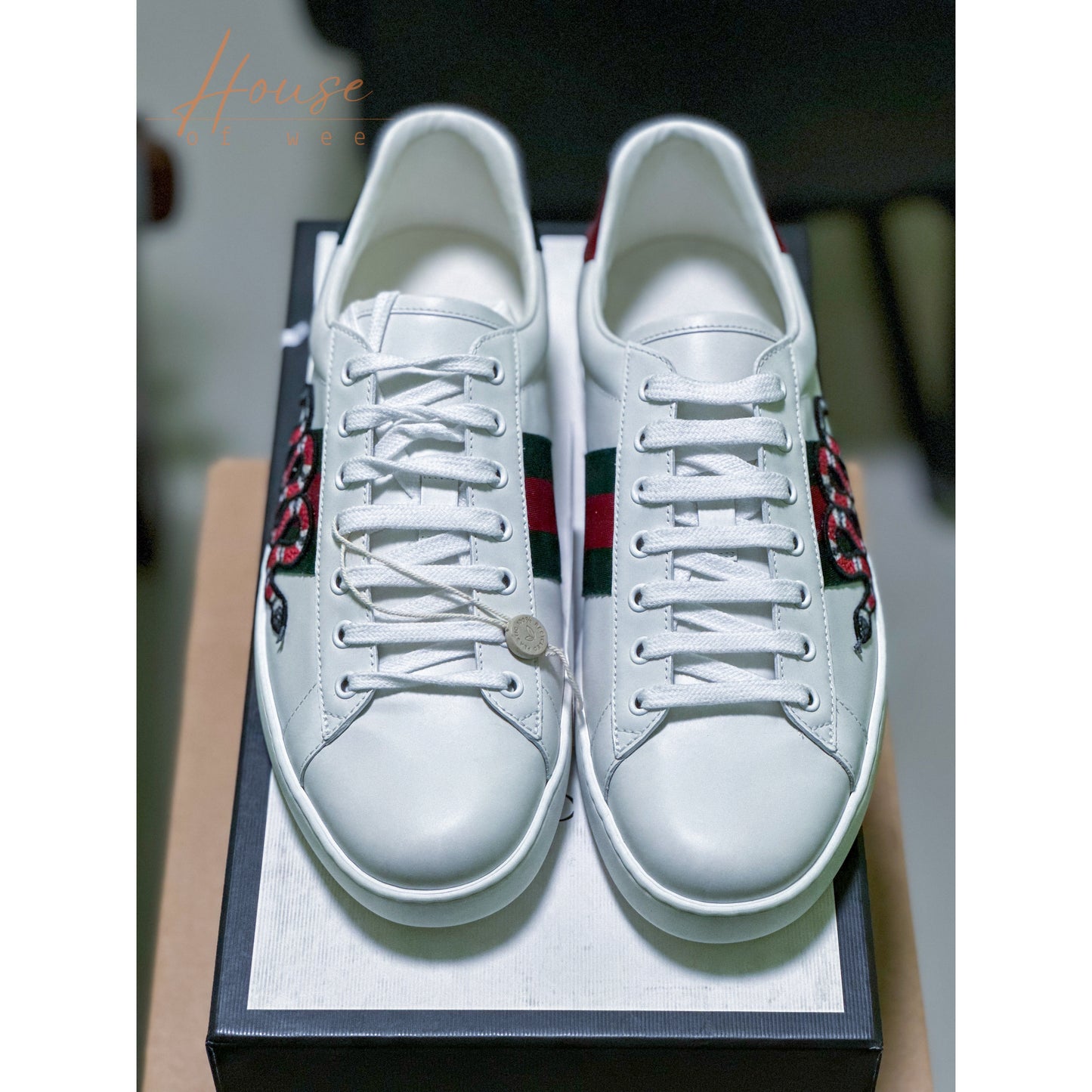 Gucci Ace Kingsnake
